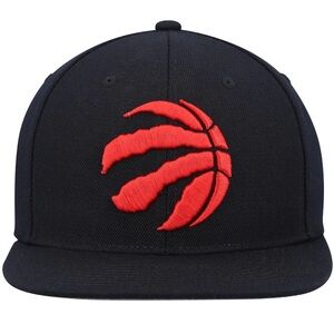 Toronto Raptors SnapBack
